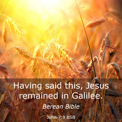 Picture 03 - John 7:9 BSB - Having said this, Jesus remained in - Bible Verse Picture