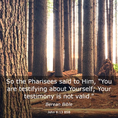 Picture 03 - John 8:13 BSB - So the Pharisees said to Him, “You are - Bible Verse Picture