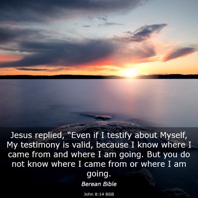 Picture 03 - John 8:14 BSB - Jesus replied, “Even if I testify about Myself, - Bible Verse Picture