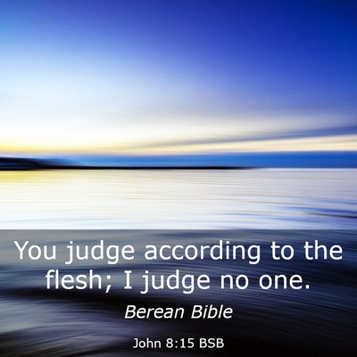 Picture 03 - John 8:15 BSB - You judge according to the flesh; I judge no - Bible Verse Picture