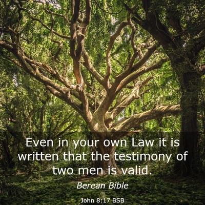 Picture 03 - John 8:17 BSB - Even in your own Law it is written that the - Bible Verse Picture