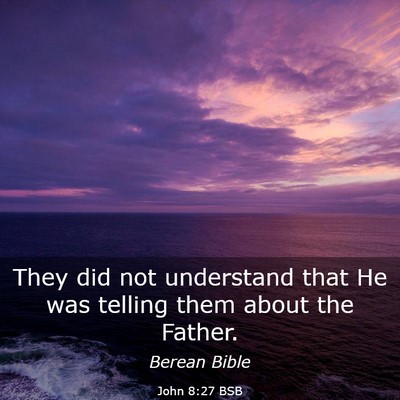 Picture 03 - John 8:27 BSB - They did not understand that He was telling them - Bible Verse Picture