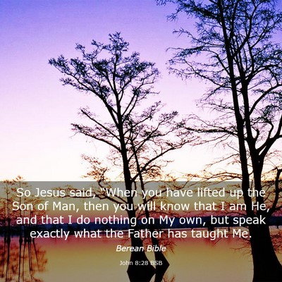 Picture 03 - John 8:28 BSB - So Jesus said, “When you have lifted up the Son - Bible Verse Picture