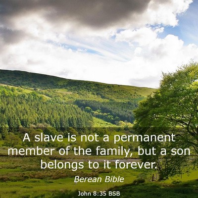Picture 03 - John 8:35 BSB - A slave is not a permanent member of the family, - Bible Verse Picture