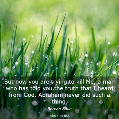 Picture 03 - John 8:40 BSB - But now you are trying to kill Me, a man who has - Bible Verse Picture