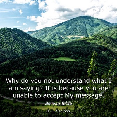 Picture 03 - John 8:43 BSB - Why do you not understand what I am saying? It is - Bible Verse Picture