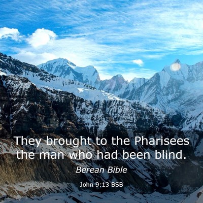 Picture 03 - John 9:13 BSB - They brought to the Pharisees the man who had - Bible Verse Picture