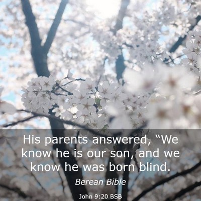Picture 03 - John 9:20 BSB - His parents answered, “We know he is our son, - Bible Verse Picture