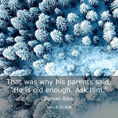 Picture 03 - John 9:23 BSB - That was why his parents said, “He is old - Bible Verse Picture
