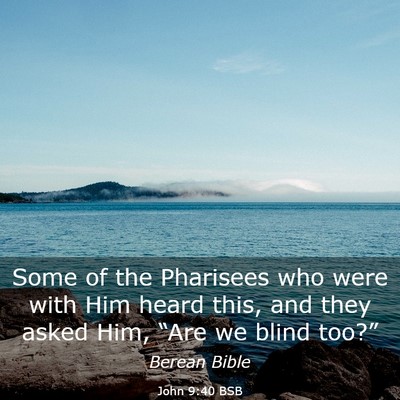 Picture 03 - John 9:40 BSB - Some of the Pharisees who were with Him heard - Bible Verse Picture
