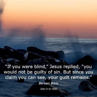 Picture 03 - John 9:41 BSB - “If you were blind,” Jesus replied, “you - Bible Verse Picture