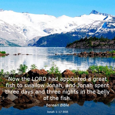 Picture 03 - Jonah 1:17 BSB - Now the LORD had appointed a great fish to - Bible Verse Picture