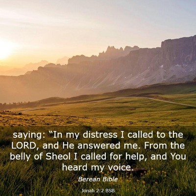 Picture 03 - Jonah 2:2 BSB - saying: “In my distress I called to the LORD, - Bible Verse Picture