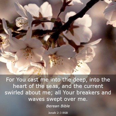 Picture 03 - Jonah 2:3 BSB - For You cast me into the deep, into the heart of - Bible Verse Picture