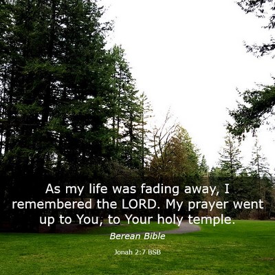 Picture 03 - Jonah 2:7 BSB - As my life was fading away, I remembered the - Bible Verse Picture