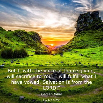 Picture 03 - Jonah 2:9 BSB - But I, with the voice of thanksgiving, will - Bible Verse Picture