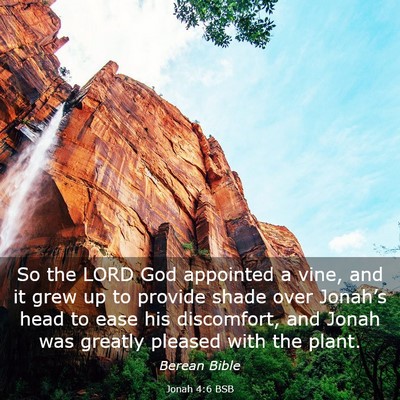 Picture 03 - Jonah 4:6 BSB - So the LORD God appointed a vine, and it grew up - Bible Verse Picture