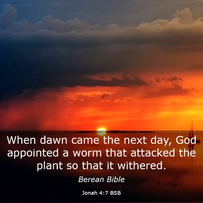 Picture 03 - Jonah 4:7 BSB - When dawn came the next day, God appointed a worm - Bible Verse Picture