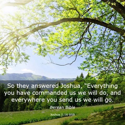Picture 03 - Joshua 1:16 BSB - So they answered Joshua, “Everything you have - Bible Verse Picture