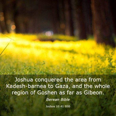Picture 03 - Joshua 10:41 BSB - Joshua conquered the area from Kadesh-barnea to - Bible Verse Picture