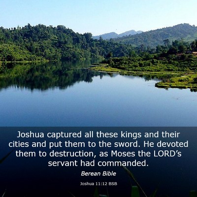 Picture 03 - Joshua 11:12 BSB - Joshua captured all these kings and their cities - Bible Verse Picture