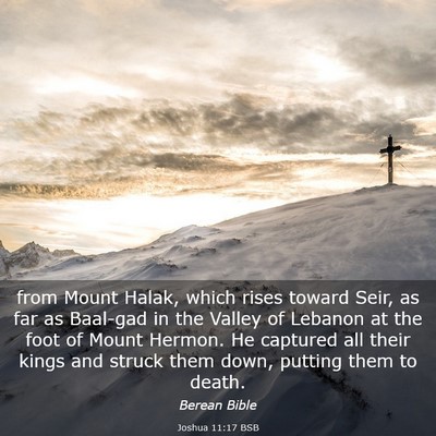 Picture 03 - Joshua 11:17 BSB - from Mount Halak, which rises toward Seir, as far - Bible Verse Picture