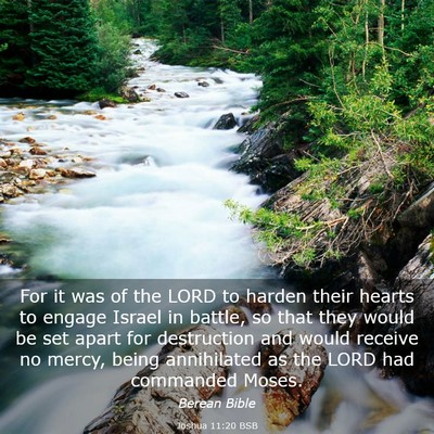 Picture 03 - Joshua 11:20 BSB - For it was of the LORD to harden their hearts to - Bible Verse Picture