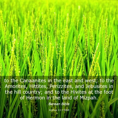Picture 03 - Joshua 11:3 BSB - to the Canaanites in the east and west; to the - Bible Verse Picture