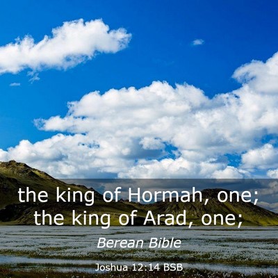 Picture 03 - Joshua 12:14 BSB - the king of Hormah, one; the king of Arad, - Bible Verse Picture