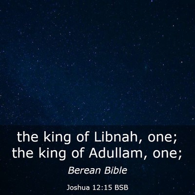 Picture 03 - Joshua 12:15 BSB - the king of Libnah, one; the king of Adullam, - Bible Verse Picture