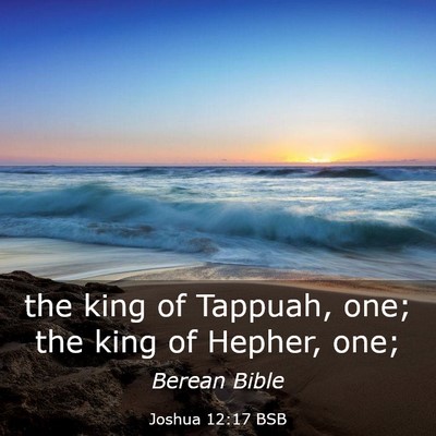 Picture 03 - Joshua 12:17 BSB - the king of Tappuah, one; the king of Hepher, - Bible Verse Picture