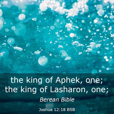 Picture 03 - Joshua 12:18 BSB - the king of Aphek, one; the king of Lasharon, - Bible Verse Picture