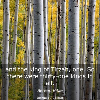 Picture 03 - Joshua 12:24 BSB - and the king of Tirzah, one. So there were - Bible Verse Picture