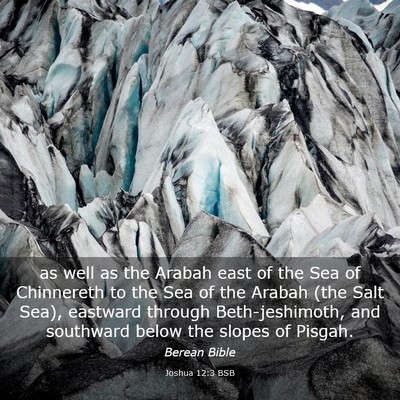 Picture 03 - Joshua 12:3 BSB - as well as the Arabah east of the Sea of - Bible Verse Picture