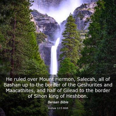 Picture 03 - Joshua 12:5 BSB - He ruled over Mount Hermon, Salecah, all of - Bible Verse Picture