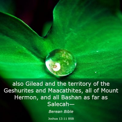Picture 03 - Joshua 13:11 BSB - also Gilead and the territory of the Geshurites - Bible Verse Picture