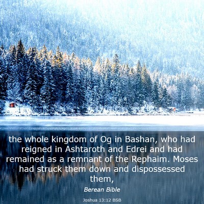 Picture 03 - Joshua 13:12 BSB - the whole kingdom of Og in Bashan, who had - Bible Verse Picture