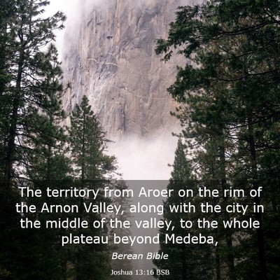 Picture 03 - Joshua 13:16 BSB - The territory from Aroer on the rim of the Arnon - Bible Verse Picture