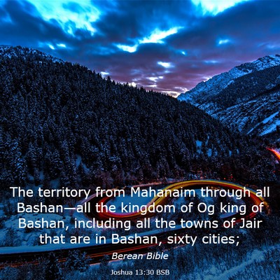 Picture 03 - Joshua 13:30 BSB - The territory from Mahanaim through all - Bible Verse Picture