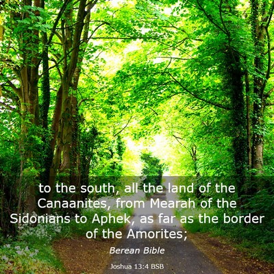 Picture 03 - Joshua 13:4 BSB - to the south, all the land of the Canaanites, - Bible Verse Picture