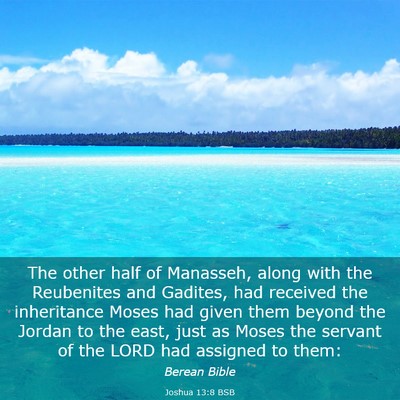 Picture 03 - Joshua 13:8 BSB - The other half of Manasseh, along with the - Bible Verse Picture