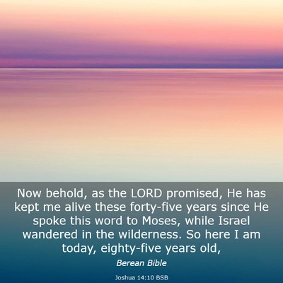 Picture 03 - Joshua 14:10 BSB - Now behold, as the LORD promised, He has kept me - Bible Verse Picture