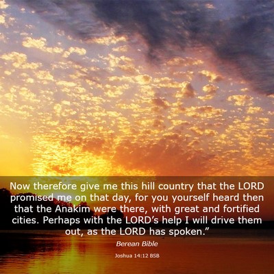 Picture 03 - Joshua 14:12 BSB - Now therefore give me this hill country that the - Bible Verse Picture