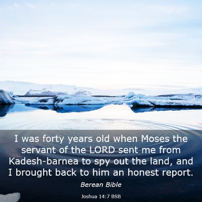 Picture 03 - Joshua 14:7 BSB - I was forty years old when Moses the servant of - Bible Verse Picture