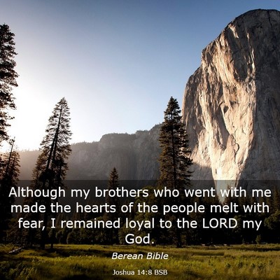 Picture 03 - Joshua 14:8 BSB - Although my brothers who went with me made the - Bible Verse Picture