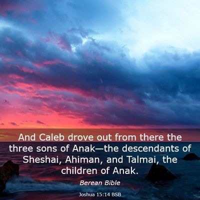 Picture 03 - Joshua 15:14 BSB - And Caleb drove out from there the three sons of - Bible Verse Picture
