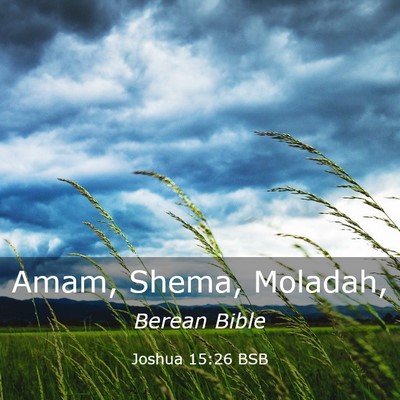Picture 03 - Joshua 15:26 BSB - Amam, Shema, - Bible Verse Picture