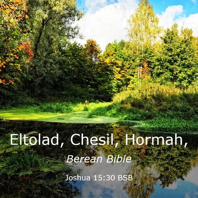 Picture 03 - Joshua 15:30 BSB - Eltolad, Chesil, - Bible Verse Picture