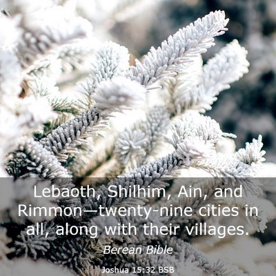 Picture 03 - Joshua 15:32 BSB - Lebaoth, Shilhim, Ain, and Rimmon—twenty-nine - Bible Verse Picture