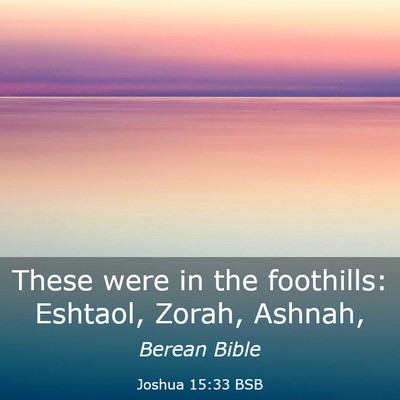 Picture 03 - Joshua 15:33 BSB - These were in the foothills: Eshtaol, Zorah, - Bible Verse Picture